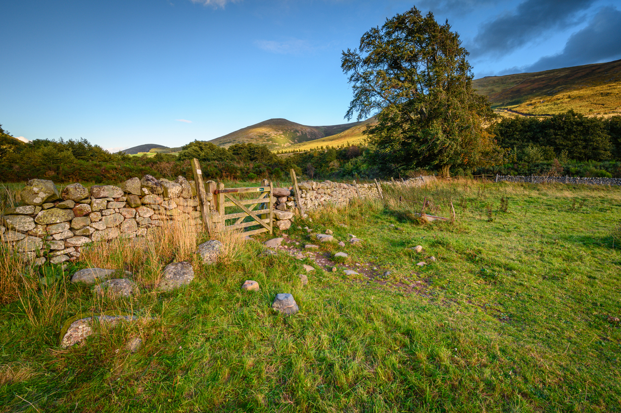 Drystone Wall in College Valley at Hethpool